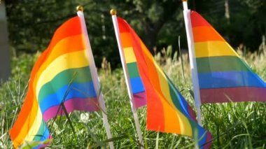 Lgbt Gay lezbiyen travesti hakları aktivizm aşk eşitliği ve özgürlük gökkuşağı bayrakları ılık yaz gününde rüzgarda savrulan çimlerin üzerinde