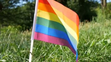 Çimenlerin üzerinde rüzgarda sallanan gökkuşağı bayrakları, Lgbt Gay lezbiyen travesti hakları, aktivizm, aşk eşitliği ve özgürlük sembolü