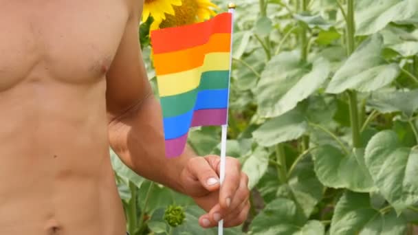 Handsome male athlete torso man with beautiful muscles holds a rainbow Gay pride LGBT flag in his hands symbol of unconventional orientation, against the blooming sunflowers in summer — ストック動画