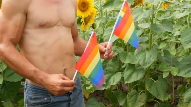 Спортивне тіло спортсмена з красивими м'язами тримає веселку Гей гордість ЛГБТ прапор в руках символ нетрадиційної орієнтації, проти квітучих соняшників влітку — стокове відео