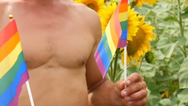 Young beautiful torso with athletic muscles man holds a rainbow Gay pride LGBT flag in his hands symbol of unconventional orientation, against the blooming sunflowers in summer — ストック動画