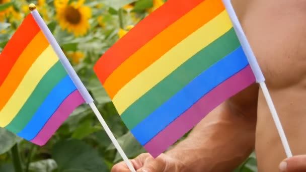 Młody piękny tułów z atletyczny mięśnie człowiek trzyma w ręku tęcza gej duma Lgbt flaga w jego ręce symbol niekonwencjonalny orientacja przeciw kwitnący słoneczniki w lato — Wideo stockowe