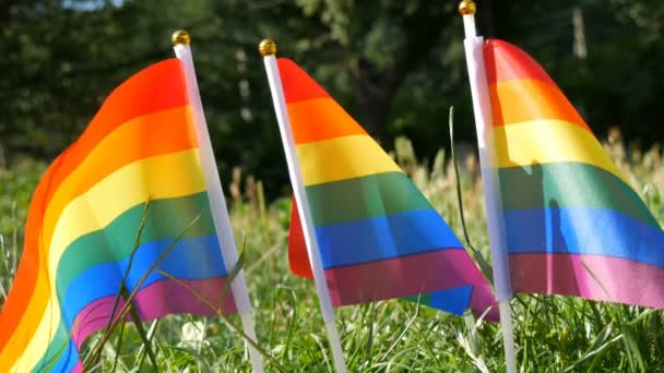 Symbol of LGBT Gay lesbian transgender queer rights, activism love equality and freedom rainbow flags on the grass lawn swaying in the wind on warm summer day — Stock Video