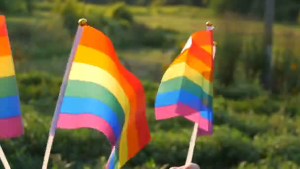Символ ЛГБТ-геївських лесбійських транссексуалів дивні права, активізм люблю рівність і свободу веселки прапори на фоні зеленої трави і лісу в літній сонячний день світить на вітрі — стокове відео