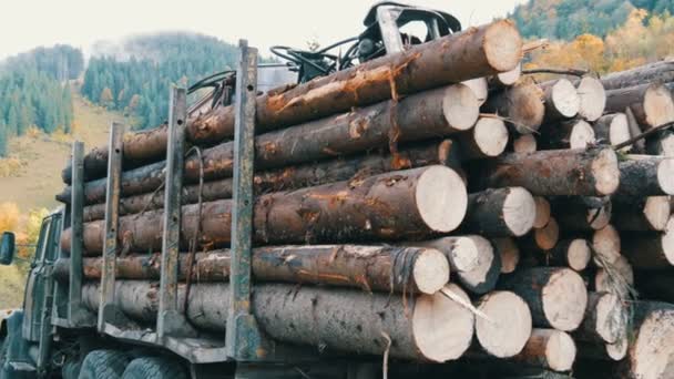 Большой грузовик с полным корпусом свежераспиленной древесины. Деревянные стволы аккуратно расставлены в ряд. Перевозка древесины на грузовике по горной дороге. Промышленный грузовик с прицепом для перевозки свежераспиленных бревен — стоковое видео