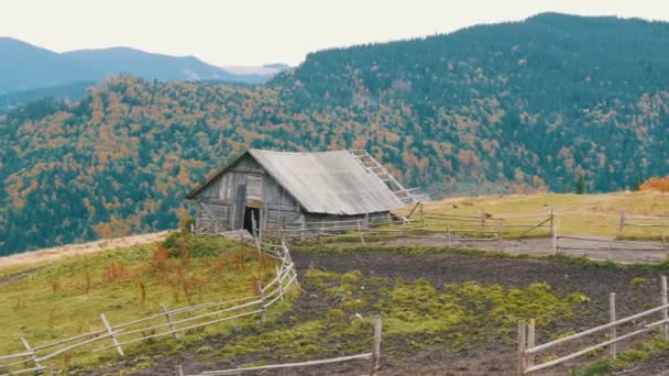 Gamla trä övergivna trä hus för nötkreatur i bakgrunden av pittoreska Karpatiska bergen på hösten — Stockvideo