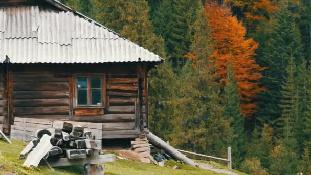 Old wooden abandoned wooden house for shepherds on background of picturesque Carpathian mountains in autumn. Abandoned building in poor condition — Stock Video