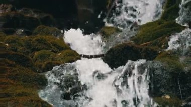 Temiz su hızla yokuş aşağı yuvarlanır. Karpat dağlarında yosunlarla birlikte karanlık ve ıslak taşların etrafından akar..