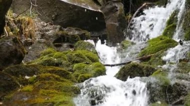 Taşlar arasında akan su. Temiz su hızla yokuş aşağı yuvarlanır. Karpat dağlarında yosunlarla birlikte karanlık ve ıslak taşların etrafından akar..