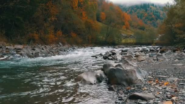 Rapide, froid ruisseau de montagne Cheremosh dans les montagnes des Carpates sur le fond de rivage rocheux. Petit matin d'automne brumeux dans le village de montagne de Dzembronya — Video