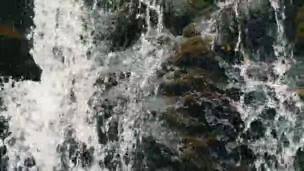 Van dichtbij uitzicht op de prachtige natuurlijke waterval die overwoekerd is met groene mosstenen in de Karpaten. Prachtige waterval waterval watervallen in de buurt van grote grijze rotsen met groen mos — Stockvideo