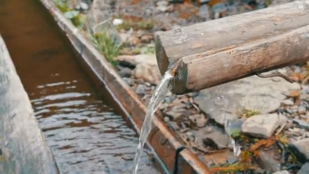 Een schone, transparante bergwaterstroom die door houten goot stroomt in een speciale trog — Stockvideo