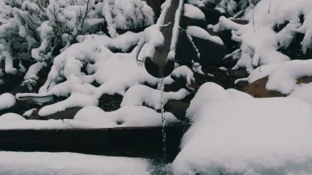 Сильный снег чистый, прозрачный горный поток воды, который течет по деревянной канаве в специальную кормушку — стоковое видео