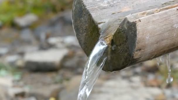 Een schone, transparante bergwaterstroom die van dichtbij door de houten goot stroomt — Stockvideo