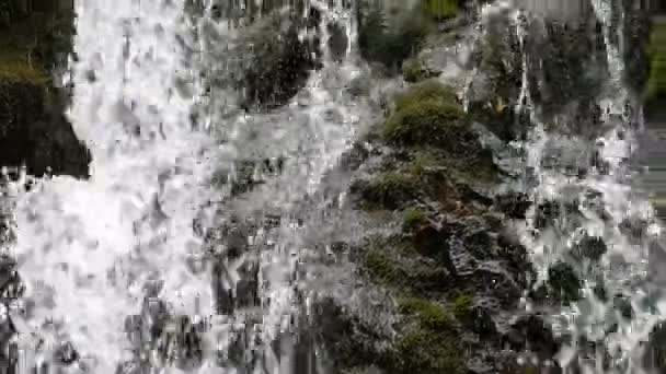 Hermosa cascada natural que desciende cubierta de piedras de musgo verde en las montañas de los Cárpatos . — Vídeos de Stock