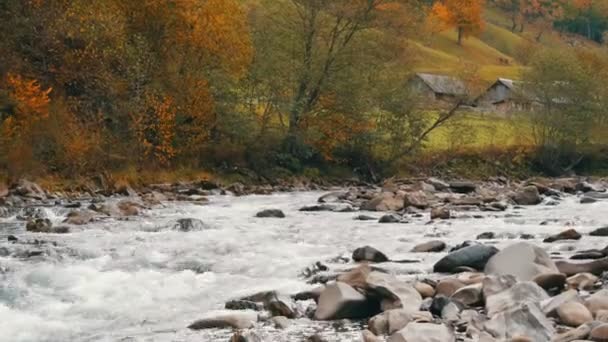 Quick, cold mountain stream Cheremosh in the Carpathian mountains on the background of rocky shore. Early autumn foggy morning in mountain village of Dzembronya — Stock Video