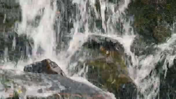 Vista de cerca de la hermosa cascada natural que desciende cubierta de piedras de musgo verde en las montañas de los Cárpatos. Maravillosa cascada de cascada de montaña cae cerca de grandes rocas grises con musgo verde — Vídeos de Stock