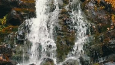 Karpat dağlarında yeşil yosun taşları. Muhteşem dağ şelalesi büyük gri kayaların yakınına düşüyor.