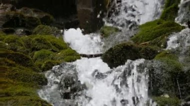 Taşlar arasında akan su. Temiz su hızla yokuş aşağı yuvarlanır. Karpat dağlarında yosunlarla birlikte karanlık ve ıslak taşların etrafından akar..