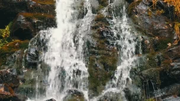 Zielone mech kamienie w Karpatach. Wspaniały górski wodospad kaskada spada w pobliżu dużych szarych skał — Wideo stockowe