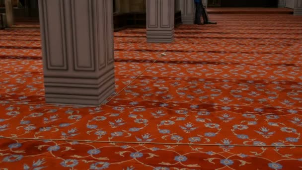 Man dammsuger stora röda mattan i en blå moské, Istanbul — Stockvideo