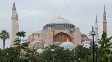 İstanbul, Türkiye 'de martıların uçtuğu Ayasofya manzarası. Dünyanın çeşitli dinlerinin tarihi tapınağı. Kostantinopol tarihi, turist grupları etrafta dolaşıyor