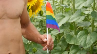 Güzel kasları olan genç bir adamın güzel vücudu gökkuşağı taşır Gey gururu Lgbt bayrağı, yaz mevsiminde açan ayçiçeklerine karşı geleneksel olmayan bir yönelimin sembolüdür.