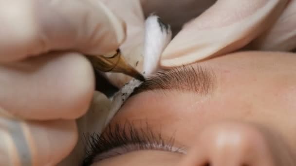 Beautician en guantes negros hace la corrección permanente del maquillaje de la forma de las cejas a una muchacha hermosa joven. Microblading, tatuaje de la ceja en un salón de belleza — Vídeo de stock