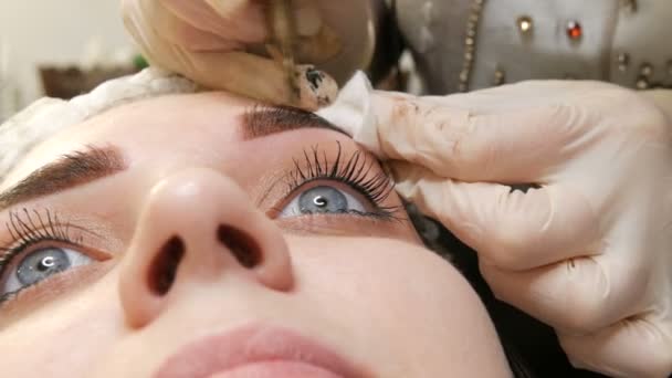 En speciell nål tatuering maskin gör permanent makeup korrigering av en ung kvinna ögonbryn. Ett pigment av mörk färg injiceras under huden. Mikroblästring, pulversprutning — Stockvideo