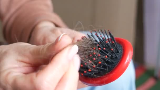 Kobiece ręce czyste Upuść włosy na grzebień po czesaniu. Dużo włosów na grzebieniu. Utrata włosów, niewydolność hormonalna, stres, dieta, choroba głowy i cebulki włosów — Wideo stockowe
