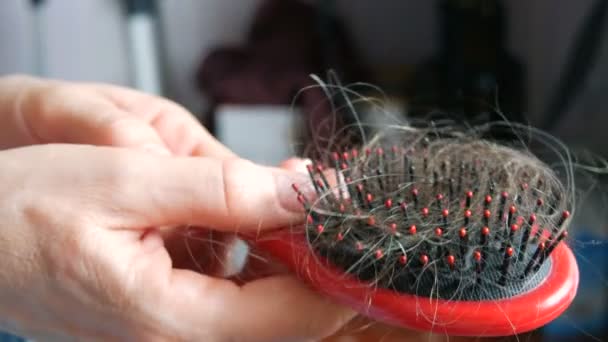Close up view of female hands clean Drop down hair on a comb after combing. Lots of fallen hair on a comb. Hair loss problem, hormonal failure, stress, diet, scalp and hair bulb disease — Stock Video