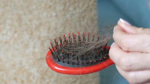 Female hands clean Drop down hair on a comb after combing. Lots of fallen hair on a comb. Hair loss problem, hormonal failure, stress, diet, scalp and hair bulb disease — Stock Video