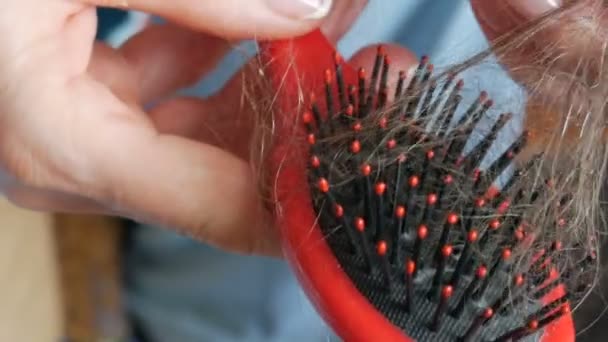 Vue rapprochée des mains féminines nettoyer Déposez les cheveux sur un peigne après le peignage. Beaucoup de cheveux tombés sur un peigne. Problème de perte de cheveux, insuffisance hormonale, stress, alimentation, maladie du cuir chevelu et des bulbes pileux — Video