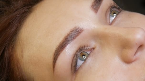 Bella giovane donna con trucco permanente delle labbra e tatuaggio del sopracciglio microblading si trova con un salone di bellezza dopo la procedura. Close-up ragazza faccia — Video Stock