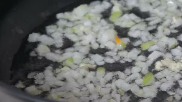 Les oignons finement hachés sont frits dans de l'huile de tournesol dans une casserole vue de près. — Video