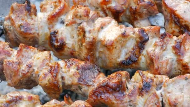 Fleischstücke in Scheiben auf einem Spieß. Schweinespieße auf dem Grill. Fleischscheiben mit schmelzendem Fett aus nächster Nähe im Garten eines Landhauses. — Stockvideo