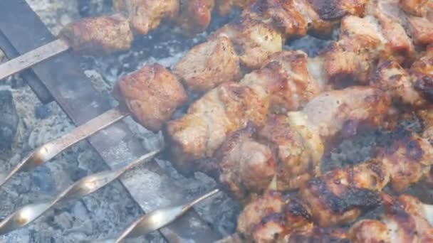 Kawałki mięsa na szpikulcu w dymie. Wieprzowina na grillu. Mięso w plasterkach z topieniem tłuszczu widok z bliska w ogrodzie wiejskiego domu. — Wideo stockowe