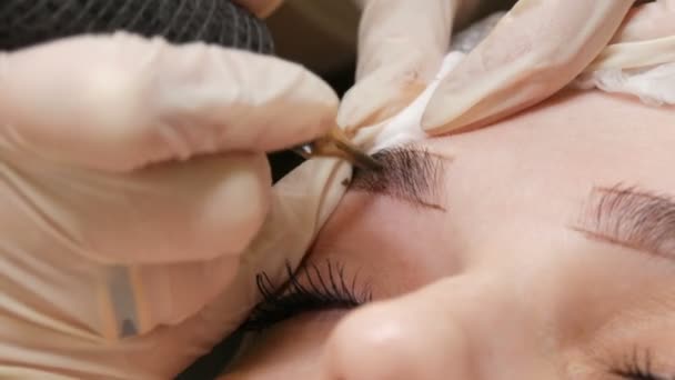 Une machine spéciale de tatouage d'aiguille fait la correction permanente de maquillage d'un sourcils de jeunes femmes. Un pigment de peinture foncée est injecté sous la peau. Microblading, pulvérisation de poudre de près — Video