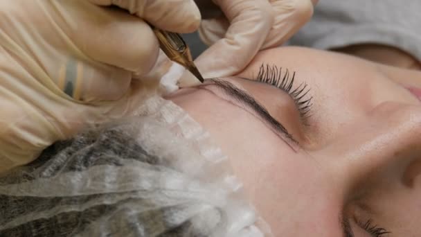 Una speciale macchina del tatuaggio dell'ago fa la correzione permanente del trucco di un sopracciglio delle giovani donne. Un pigmento di vernice scura viene iniettato sotto la pelle. Microblading, spruzzatura della polvere da vicino — Video Stock