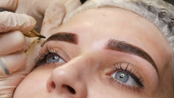 Una máquina especial del tatuaje de la aguja hace la corrección permanente del maquillaje de una ceja joven de las mujeres. Se inyecta un pigmento de pintura oscura debajo de la piel. Microblading, pulverización en polvo de cerca — Vídeos de Stock