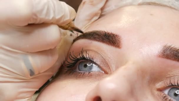 En speciell nål tatuering maskin gör permanent makeup korrigering av en ung kvinna ögonbryn. Ett pigment av mörk färg injiceras under huden. Mikroblästring, pulversprutning närbild — Stockvideo