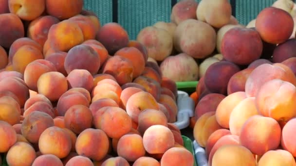 Close up vista de maduro belo grande fresco pêssegos frutas em um balcão de mercado de rua ou uma loja de vegetais no verão. — Vídeo de Stock
