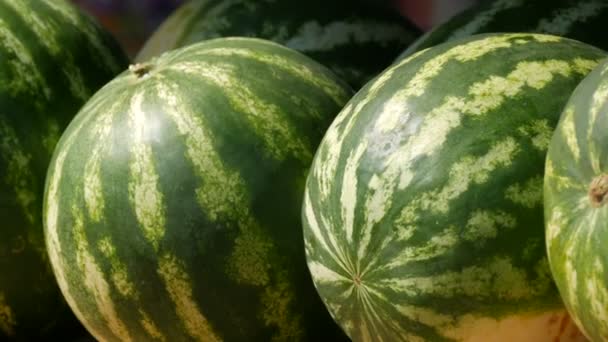 Close up uitzicht op rijpe verse mooie grote watermeloen op de toonbank van een straatmarkt of een groentewinkel in de zomer — Stockvideo