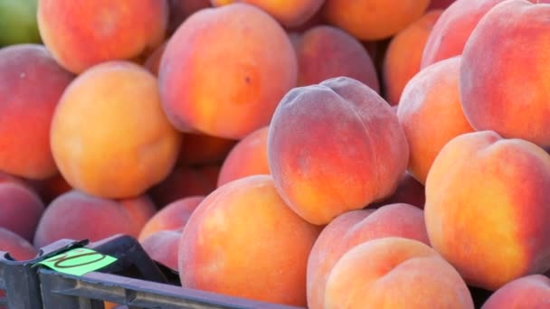 通りの市場カウンターや夏の野菜店で熟した美しい大規模な新鮮なピンクの桃の果物のビューを閉じます. — ストック動画
