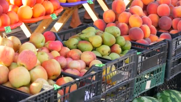 Utcai zöldségpiac. Számláló különféle gyümölcsökkel kosarakban, őszibarackban, almában, körtében, dinnyében és görögdinnyében — Stock videók