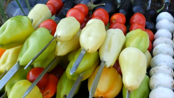 Färska grillade grönsaker söt paprika, svamp, tomater på ett spett redo för bbq — Stockvideo