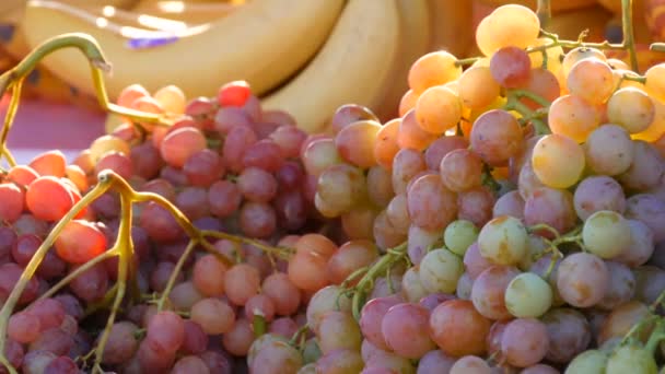 Close-up vista de maduro belos grandes cachos de uvas rosa frescos no balcão de um mercado de rua ou loja de legumes no verão em bela luz solar — Vídeo de Stock