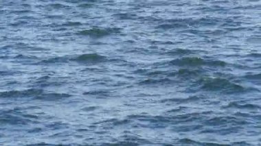 Dinyeper Nehri 'nin tatlı su deposunda küçük dalgalar. Su yüzeyi yakın çekim görüntüsü.