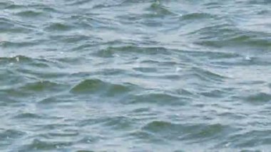 Dinyeper Nehri 'nin tatlı su deposunda küçük dalgalar. Su yüzeyi yakın çekim görüntüsü.