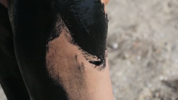 Helande svart medicinsk lera gäller ben kvinna vid sjön av saltvatten. Saltig svart smuts för personer med hälsa och hudproblem. Slappna av på spaanläggningen. Rengöring skrubb skönhetsbehandling — Stockvideo